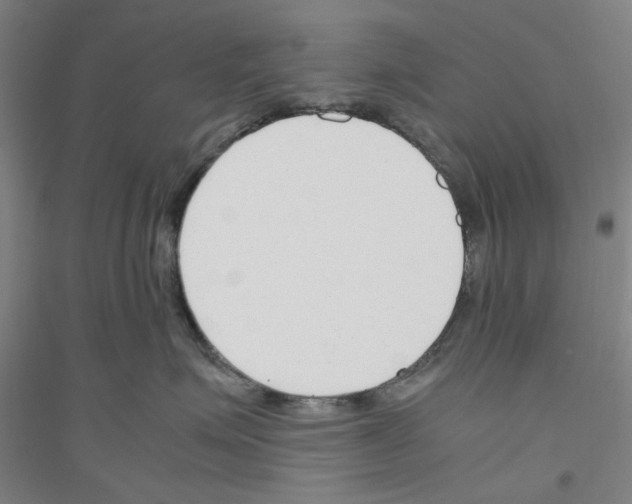 X0000116820623201001291623