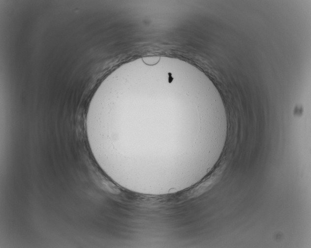 X0000116820624201001291623