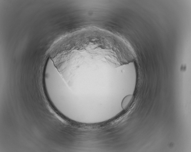 X0000116820625201001291623