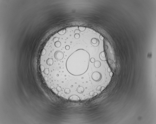 X0000116820626201001291623