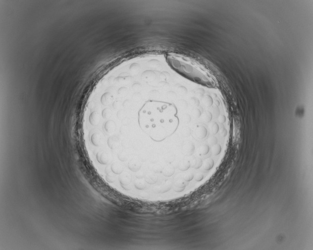 X0000116820627201001291623