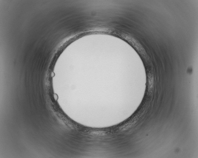 X0000116820628201001291623