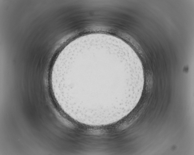 X0000116820629201001291623