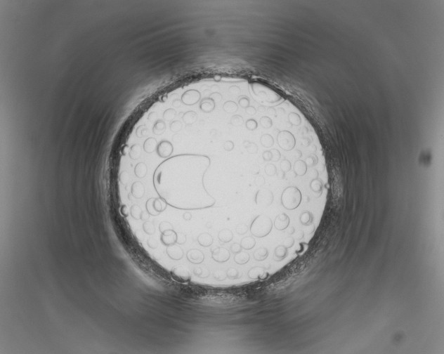 X0000116820630201001291623