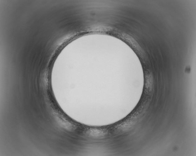 X0000116820632201001291623