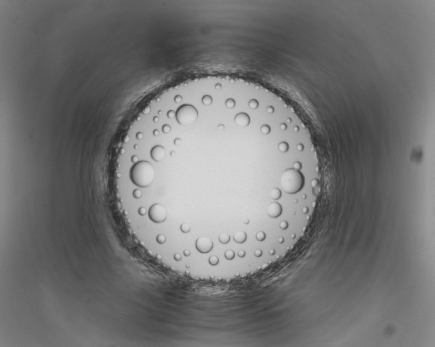 X0000116820635201001291623