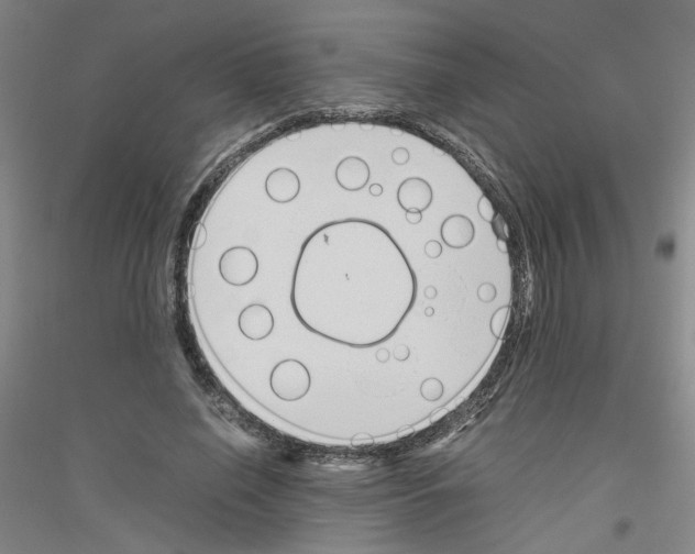 X0000116820638201001291623