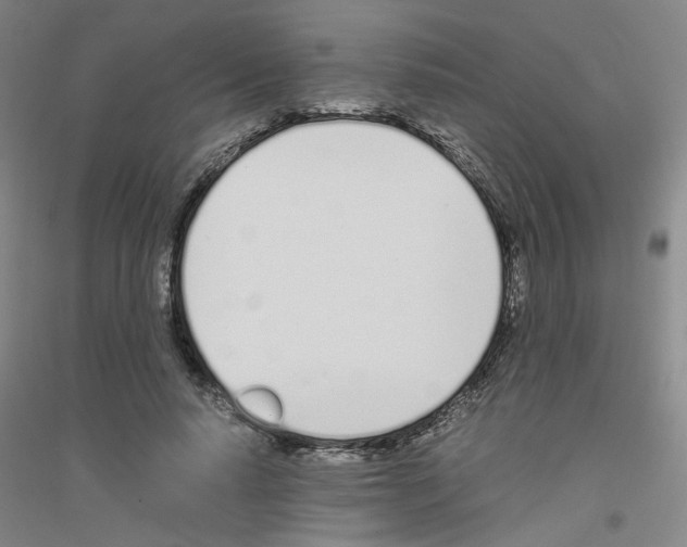 X0000116820640201001291623