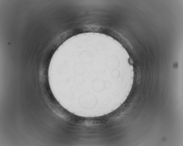 X0000116820641201001291623