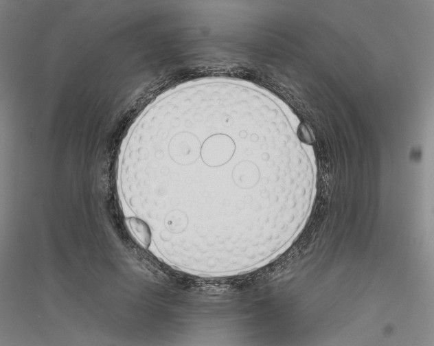 X0000116820642201001291623