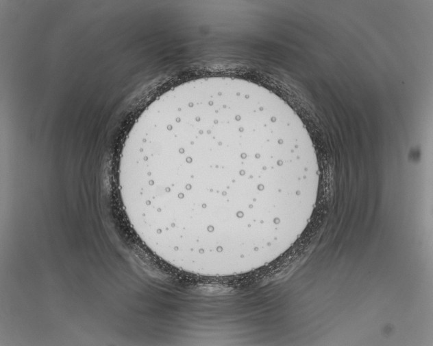 X0000116820644201001291623