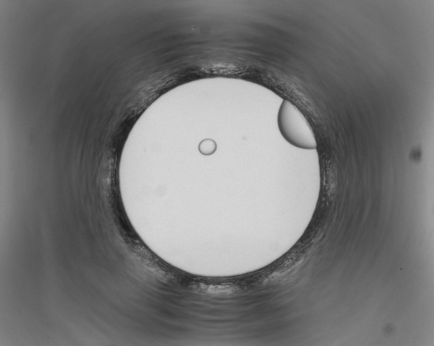 X0000116820645201001291623