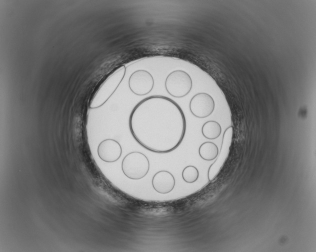 X0000116820646201001291623