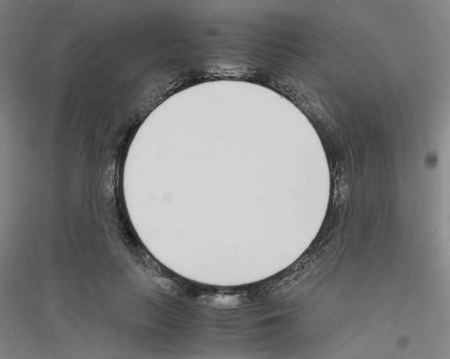 X0000116820647201001291623