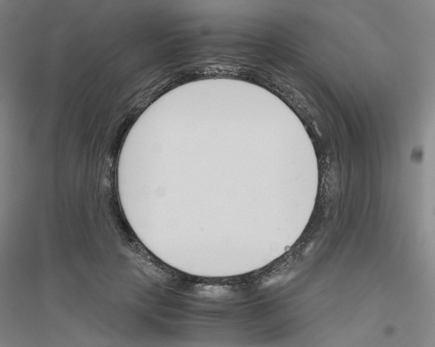 X0000116820649201001291623