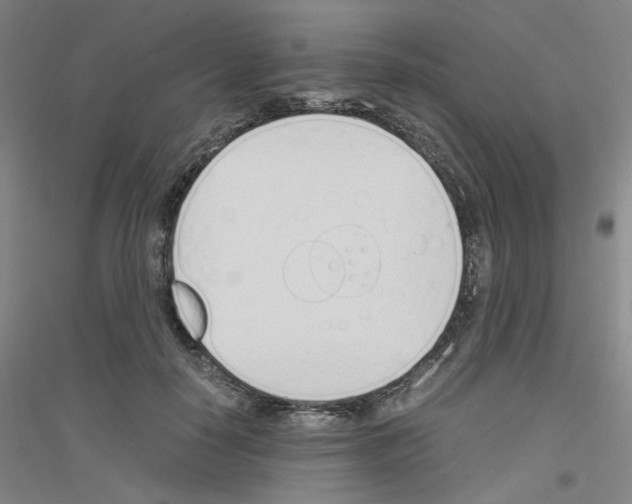 X0000116820650201001291623