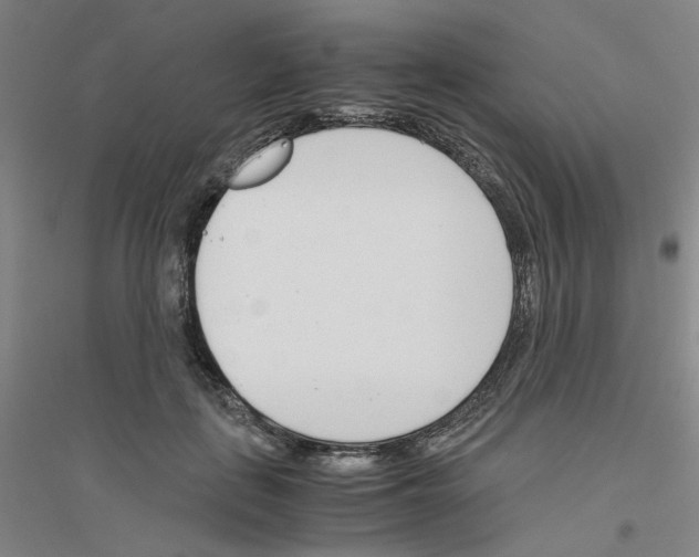 X0000116820651201001291623