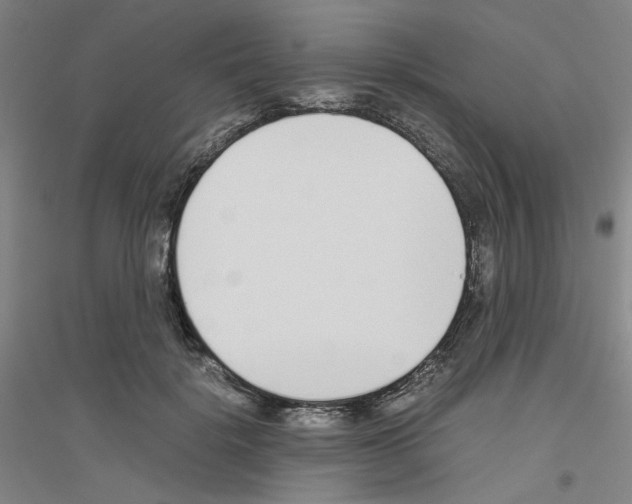 X0000116820652201001291623