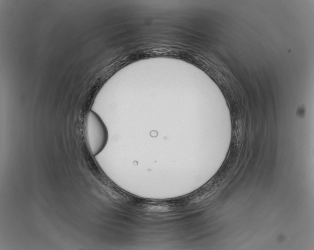 X0000116820653201001291623