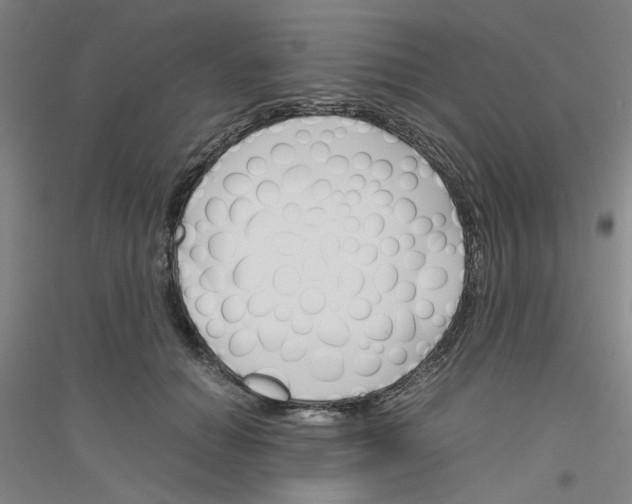 X0000116820654201001291623