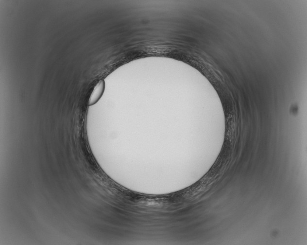 X0000116820655201001291623