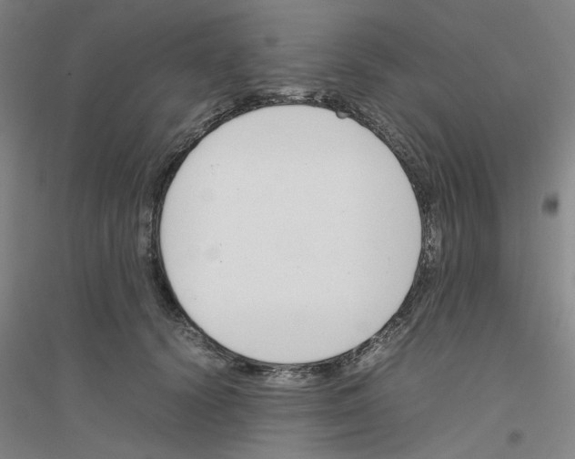 X0000116820656201001291623