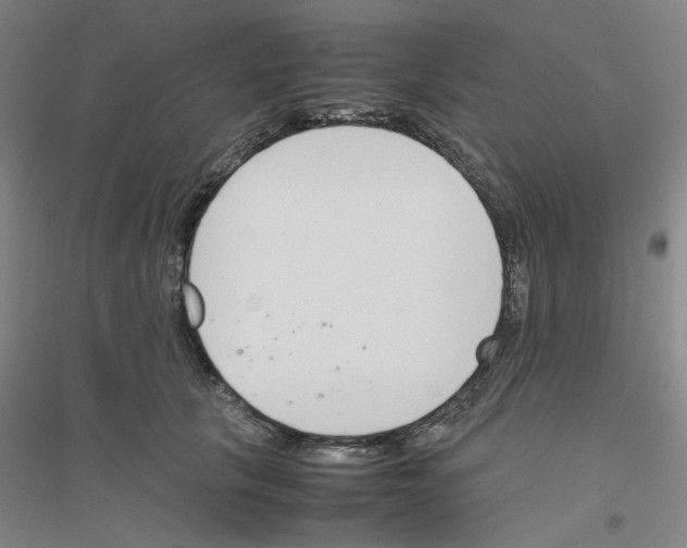 X0000116820657201001291623