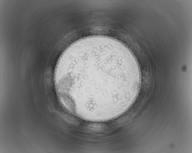 X0000116820659201001291623