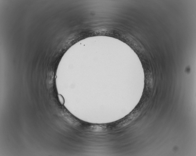 X0000116820660201001291623