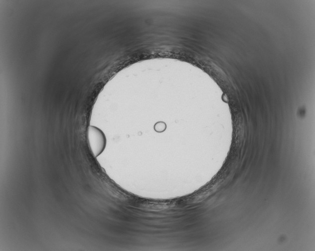 X0000116820661201001291623