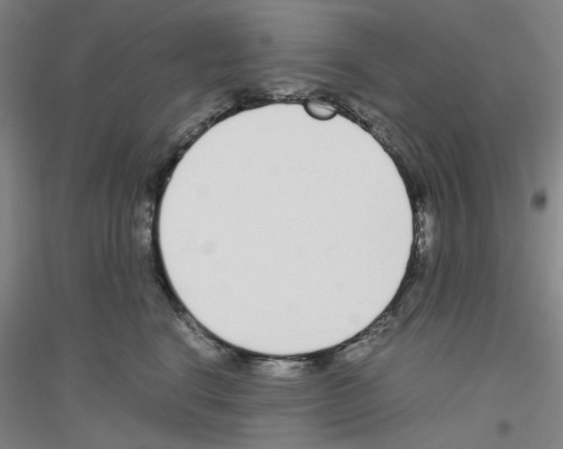 X0000116820664201001291623