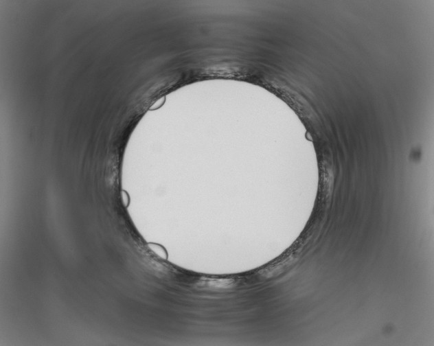 X0000116820665201001291623