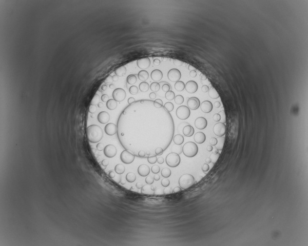 X0000116820666201001291623