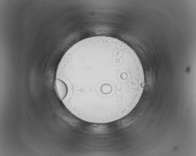 X0000116820667201001291623