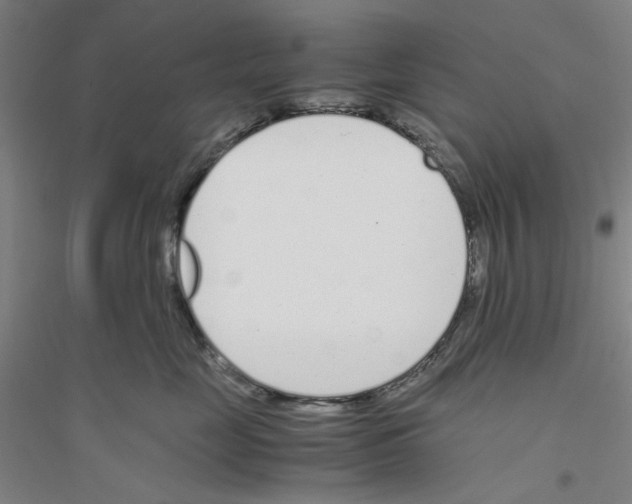 X0000116820669201001291623