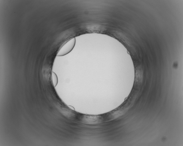 X0000116820671201001291623