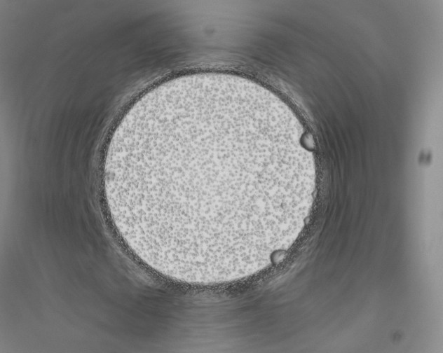 X0000116820673201001291623