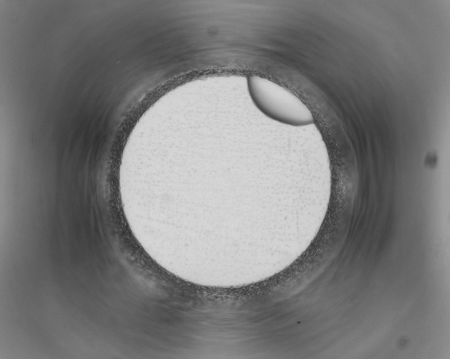 X0000116820676201001291623