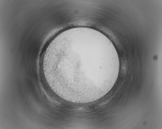 X0000116820678201001291623