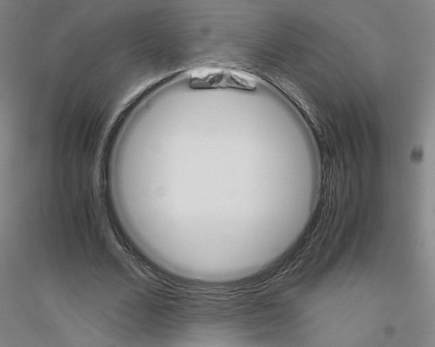 X0000116820680201001291622