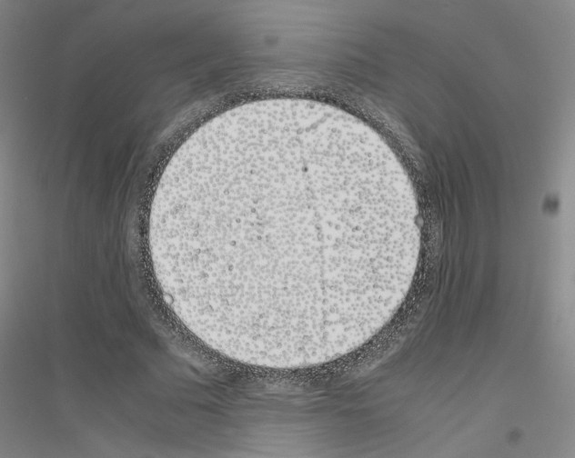 X0000116820681201001291622