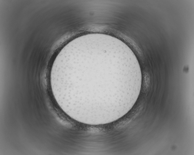 X0000116820682201001291622