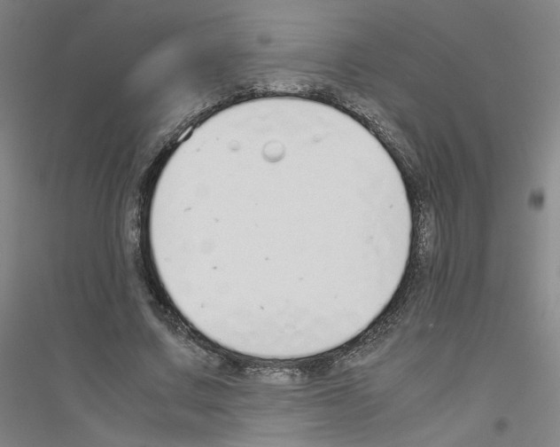 X0000116820683201001291622