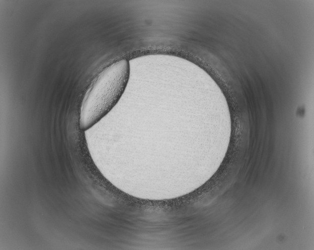 X0000116820684201001291622