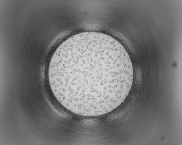 X0000116820686201001291622