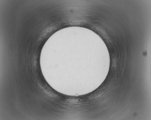 X0000116820687201001291622