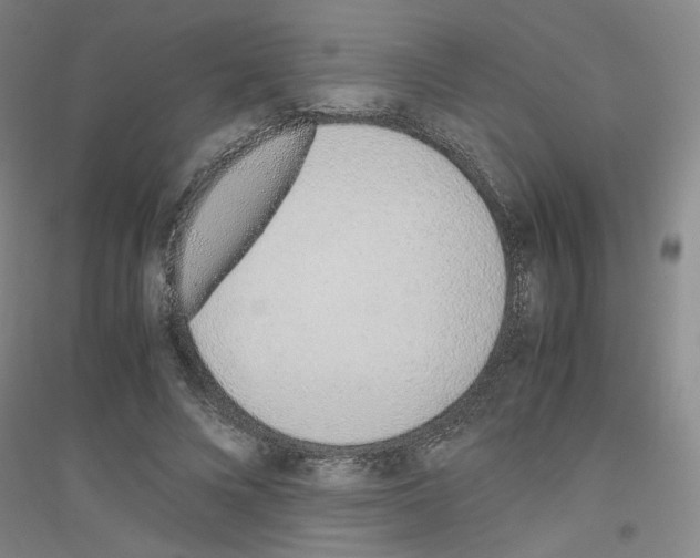 X0000116820688201001291622