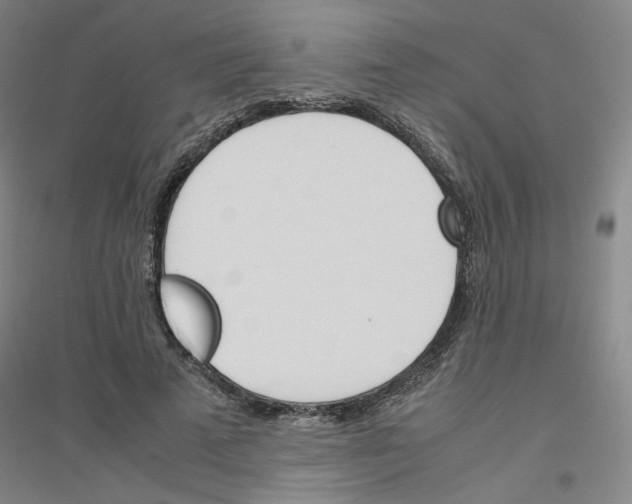 X0000116820689201001291622