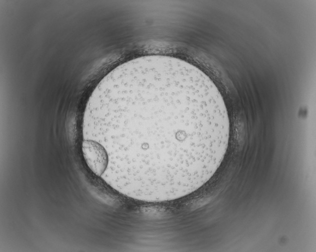 X0000116820690201001291622