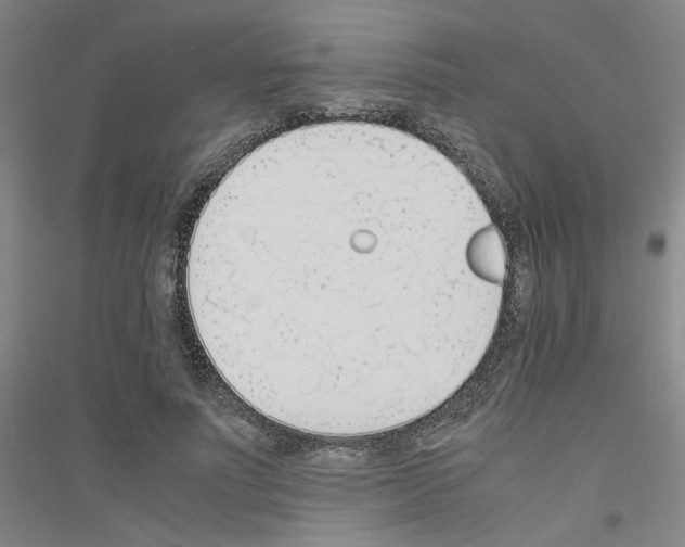 X0000116820691201001291622